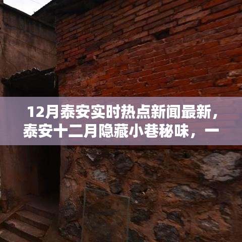 泰安十二月熱點新聞與隱藏小巷的特色美食探索，一家特色小店的驚喜之旅