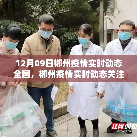 12月09日郴州疫情實(shí)時(shí)動(dòng)態(tài)關(guān)注指南，全國疫情動(dòng)態(tài)及初學(xué)者快速掌握方法