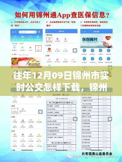錦州市實時公交查詢APP下載指南，以往年12月09日為例的教程分享