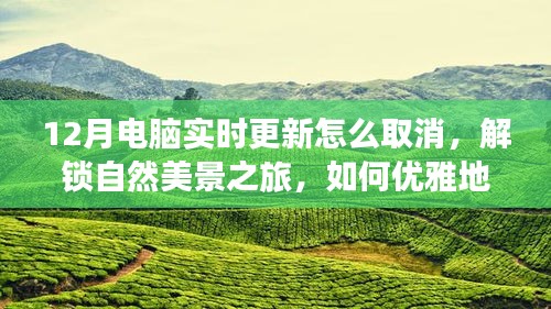 12月電腦更新取消指南與解鎖自然美景之旅，優(yōu)雅避開更新，尋找心靈寧靜綠洲