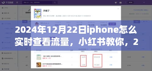 2024年12月22日iPhone實時查看流量教程，小紅書教你如何輕松監(jiān)控流量消耗