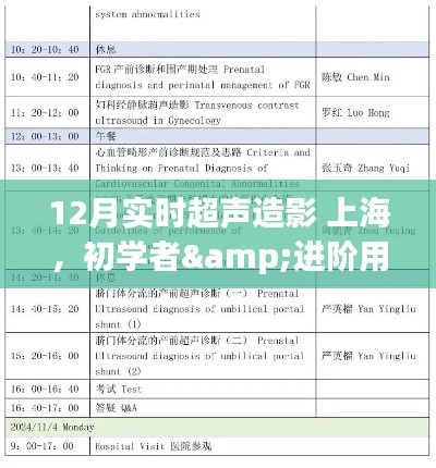 12月上海實時超聲造影操作全攻略，從初學(xué)者到進階用戶的必備指南