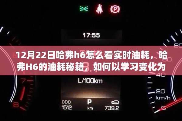 哈弗H6實時油耗秘籍，學習變化為燃料，駛向自信彼岸的指南
