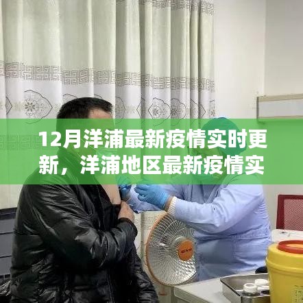 洋浦地區(qū)最新疫情實(shí)時(shí)更新，初學(xué)者與進(jìn)階用戶(hù)防疫指南