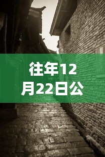探秘寶藏店，公路云實時監(jiān)控軟件下載新體驗，12月22日實時下載探秘小巷深處之旅