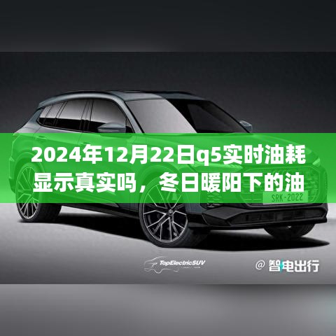 冬日暖陽下的真相探尋，2024年Q5實時油耗顯示的可信度與友情之旅