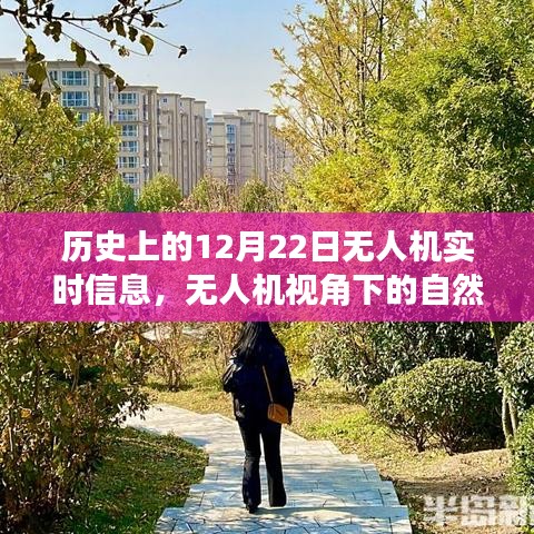 無人機(jī)視角下的歷史秘境，自然之旅與寧靜歷史的探索紀(jì)實(shí)