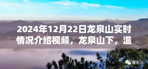 龍泉山實(shí)時(shí)探訪紀(jì)實(shí)，溫馨日常的奇遇與陪伴