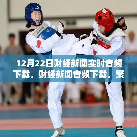 12月22日財(cái)經(jīng)新聞實(shí)時(shí)音頻下載，深度探討與觀(guān)點(diǎn)爭(zhēng)議