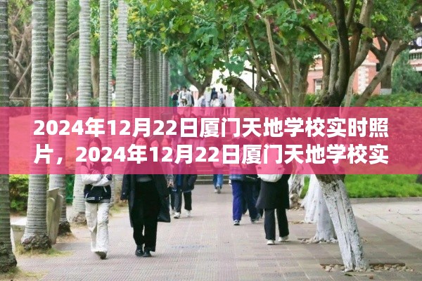 一窺廈門天地學(xué)校實時美景，2024年12月22日校園風光紀實