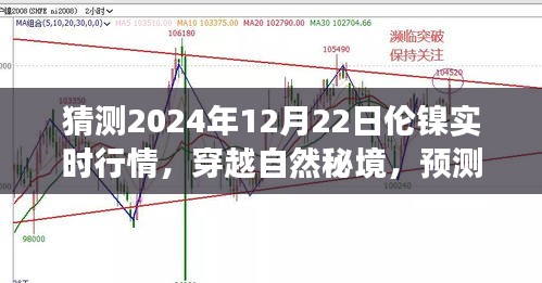 倫鎳行情預(yù)測(cè)與心靈之旅，穿越自然秘境，探索2024年倫鎳實(shí)時(shí)行情的奇妙交織