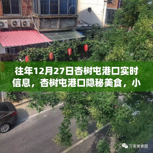 杏樹屯港口，美食秘境與實(shí)時(shí)信息的探索之旅