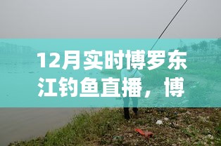 博羅東江畔的釣魚盛宴，12月實時釣魚直播開啟！