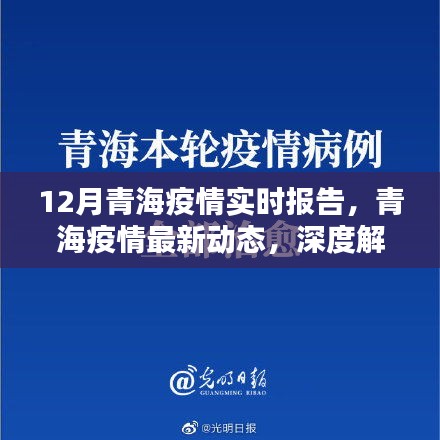 青海疫情深度解析，十二月實(shí)時(shí)報(bào)告與最新動(dòng)態(tài)