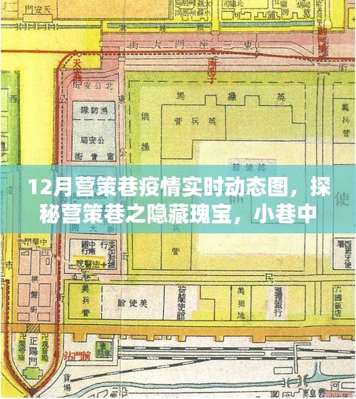 營策巷疫情動態(tài)與隱藏瑰寶探索，小巷特色小店實(shí)時更新數(shù)據(jù)報(bào)告