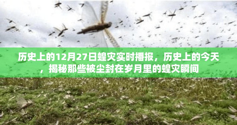歷史上的蝗災(zāi)瞬間，揭秘塵封歲月中的12月27日蝗災(zāi)實(shí)時(shí)播報(bào)