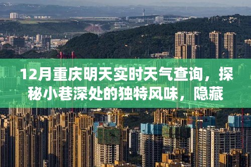 探秘重慶小巷美食，實(shí)時(shí)天氣下的驚喜小店與獨(dú)特風(fēng)味