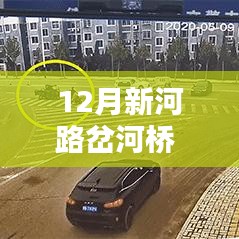 12月新河路岔河橋實時路況詳解與評測介紹