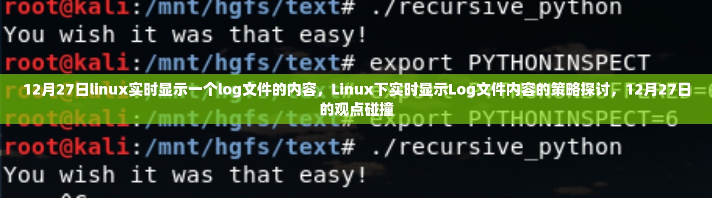 Linux下實(shí)時(shí)顯示Log文件內(nèi)容的策略探討，觀(guān)點(diǎn)碰撞與實(shí)時(shí)更新技術(shù)