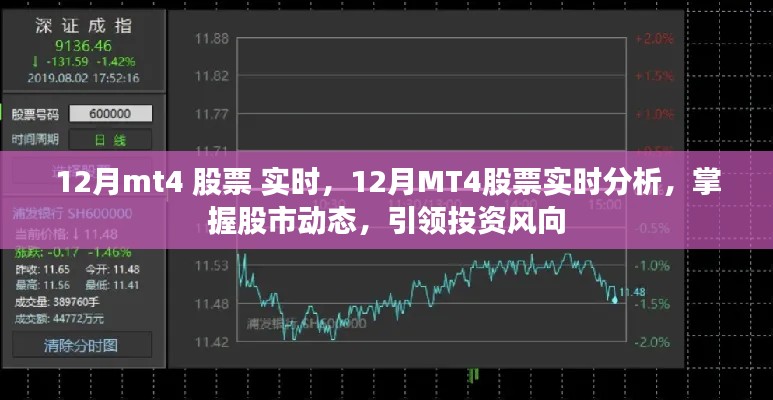 12月MT4股票實(shí)時(shí)分析，掌握股市動(dòng)態(tài)，引領(lǐng)投資風(fēng)向標(biāo)