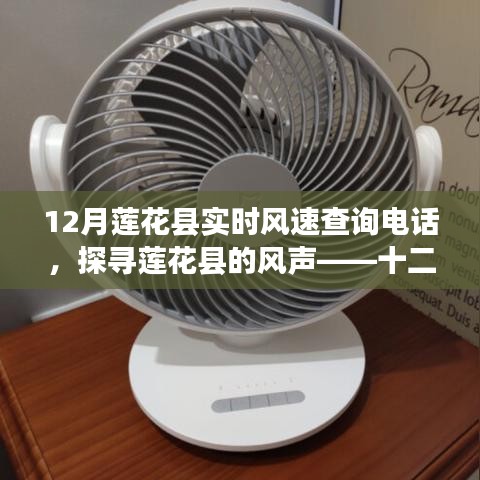 探尋蓮花縣風聲，十二月實時風速查詢電話全解析