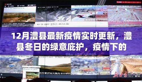 澧縣疫情實(shí)時(shí)更新，冬日的綠意庇護(hù)與疫情下的自然探索