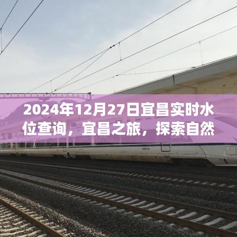 張牙舞爪 第2頁