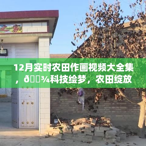 12月實(shí)時(shí)農(nóng)田作畫視頻驚艷呈現(xiàn)，科技繪夢(mèng)，農(nóng)田綻放新篇章！