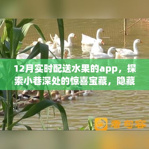 探索小巷深處的鮮果寶藏，12月實(shí)時(shí)配送水果APP驚喜上線
