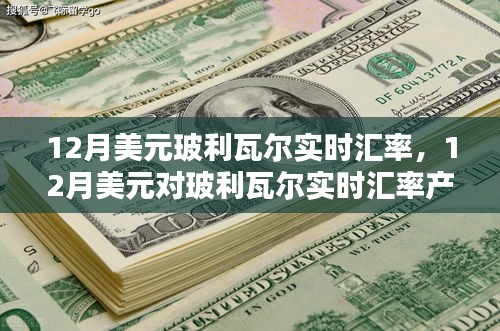 12月美元對玻利瓦爾實(shí)時(shí)匯率詳解，產(chǎn)品與評測一網(wǎng)打盡