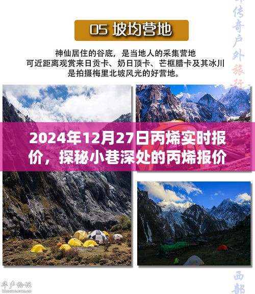 探秘丙烯報價秘境，揭秘2024年12月27日丙烯實時行情與報價深度解析