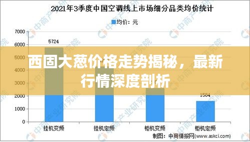 西固大蔥價格走勢揭秘，最新行情深度剖析