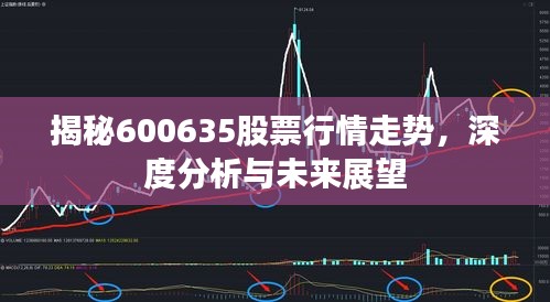 揭秘600635股票行情走勢，深度分析與未來展望