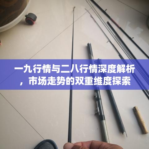 一九行情與二八行情深度解析，市場走勢的雙重維度探索