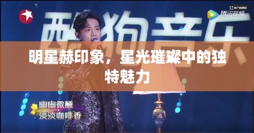 明星赫印象，星光璀璨中的獨(dú)特魅力