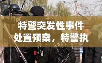 特警突發(fā)性事件處置預(yù)案，特警執(zhí)勤突發(fā)事件視頻 