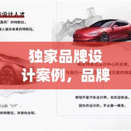 獨(dú)家品牌設(shè)計案例，品牌設(shè)計方案案例 