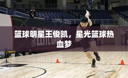 籃球明星王俊凱，星光籃球熱血夢