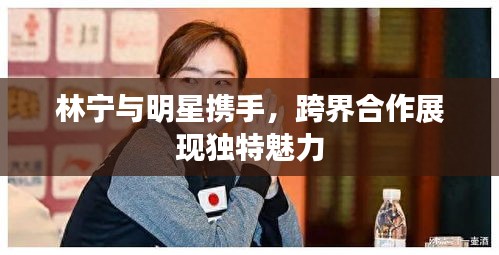 林寧與明星攜手，跨界合作展現(xiàn)獨特魅力