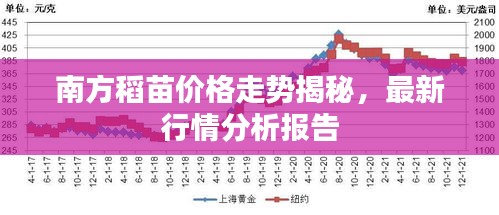 南方稻苗價格走勢揭秘，最新行情分析報告