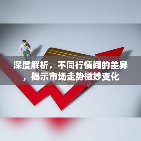 深度解析，不同行情間的差異，揭示市場走勢微妙變化