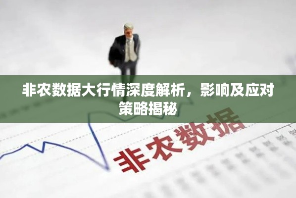 非農(nóng)數(shù)據(jù)大行情深度解析，影響及應對策略揭秘