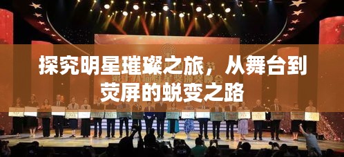 探究明星璀璨之旅，從舞臺(tái)到熒屏的蛻變之路