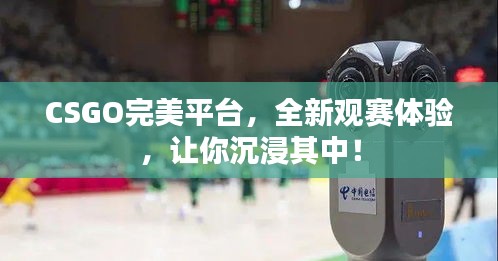 CSGO完美平臺(tái)，全新觀賽體驗(yàn)，讓你沉浸其中！