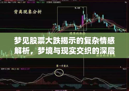 夢見股票大跌揭示的復(fù)雜情感解析，夢境與現(xiàn)實(shí)交織的深層解讀