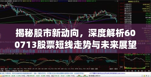 揭秘股市新動(dòng)向，深度解析600713股票短線走勢(shì)與未來(lái)展望