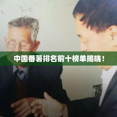 中國番薯排名前十榜單揭曉！