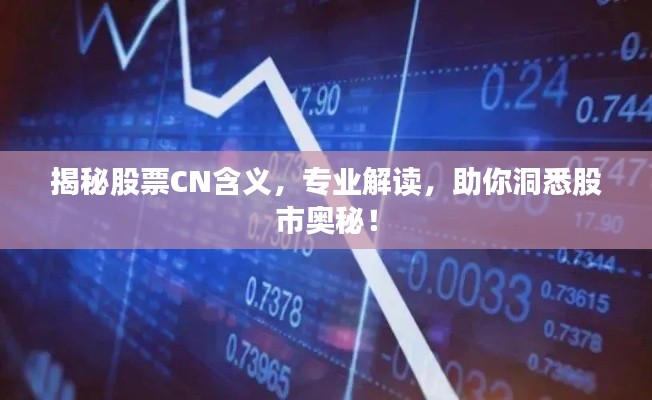 揭秘股票CN含義，專業(yè)解讀，助你洞悉股市奧秘！