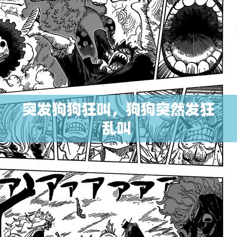 突發(fā)狗狗狂叫，狗狗突然發(fā)狂亂叫 