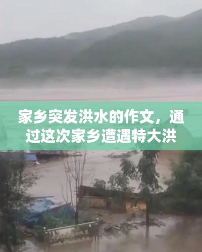 家鄉(xiāng)突發(fā)洪水的作文，通過這次家鄉(xiāng)遭遇特大洪水,大家有什么感想? 